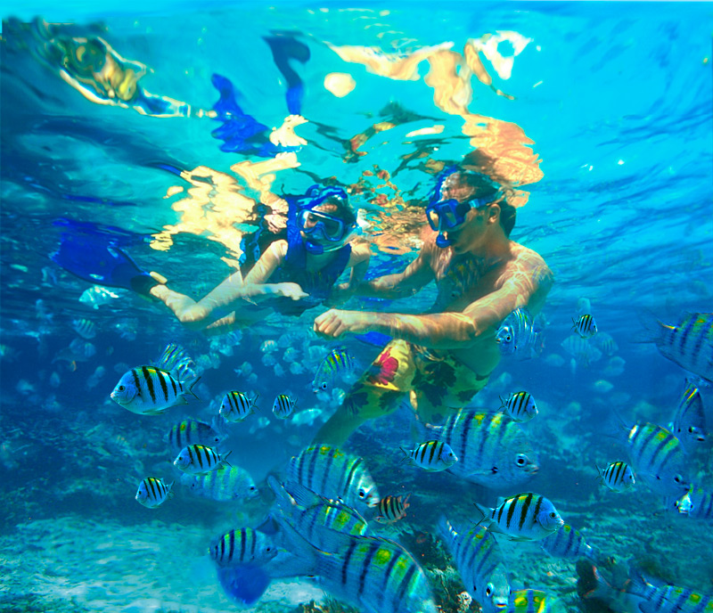 Excursion de snorkel